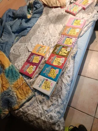Diari d'una penjada 4. SMR sobre patins