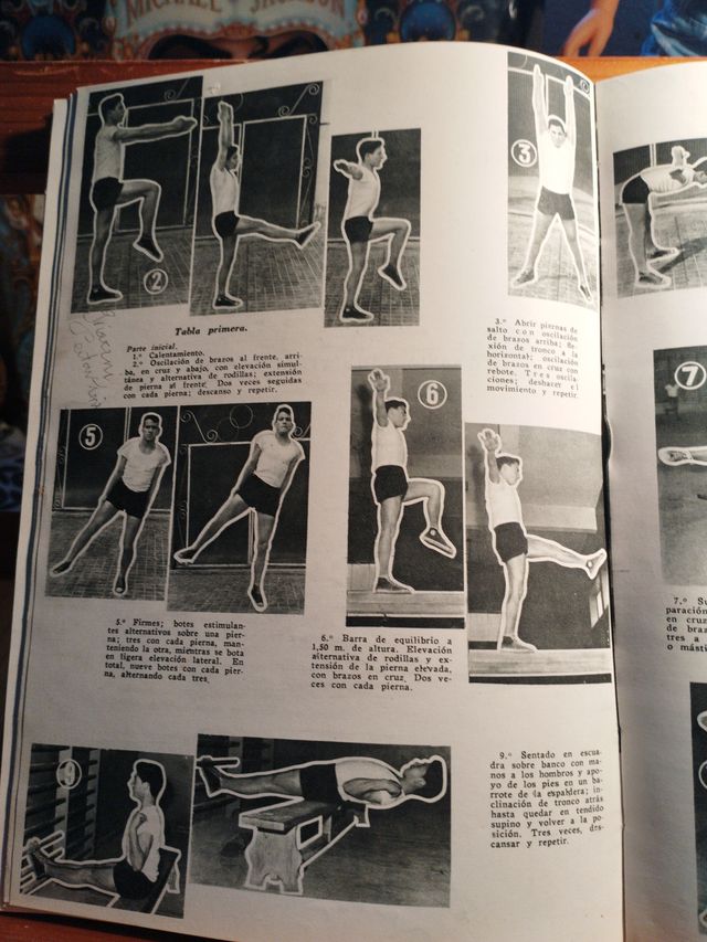 Libro Técnica de la Educación Física