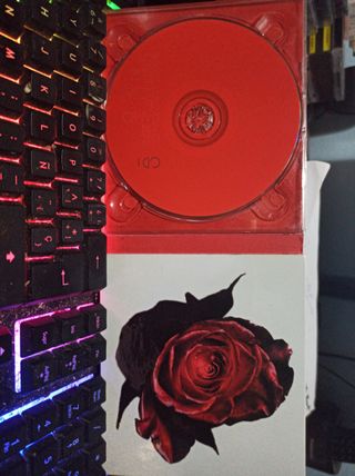 Luz Casal Un Ramo De Rosas 2 CDs