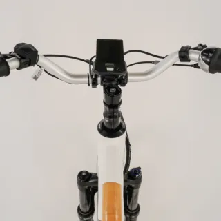 Ebike urbana cuadro de bambú 7 años de garantía