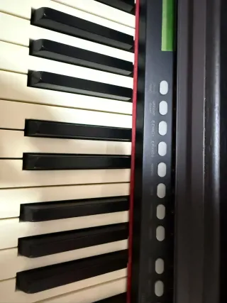 Piano Eléctrico (escucho ofertas) (hay vídeo)