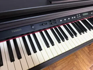 Piano Eléctrico (escucho ofertas) (hay vídeo)