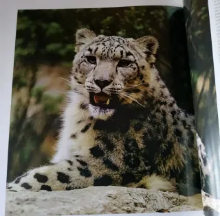 NATIONAL GEOGRAPHIC - ENCICLOPEDIA de los ANIMALES