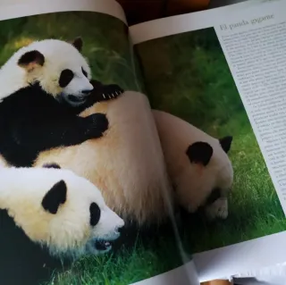 NATIONAL GEOGRAPHIC - ENCICLOPEDIA de los ANIMALES