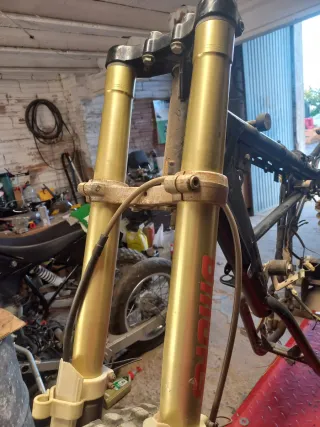 Horquillas Moto Rieju RR showa