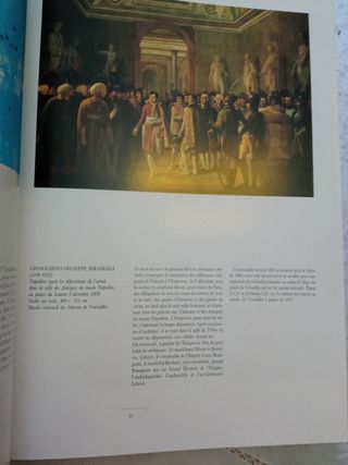 L"historie de Napoleón par la peinture