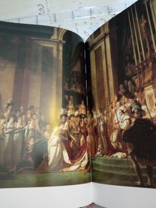 L"historie de Napoleón par la peinture