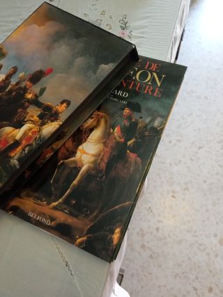 L"historie de Napoleón par la peinture