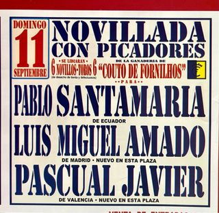 CARTEL CICLO 8 NACIONES 2011