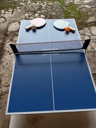 Costume e parrucca viola