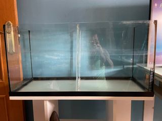 Acuario 100L con división y mueble