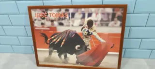 Cuadro Taurino José Tomás