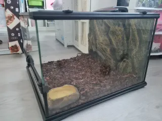 Terrario para tortugas o reptiles