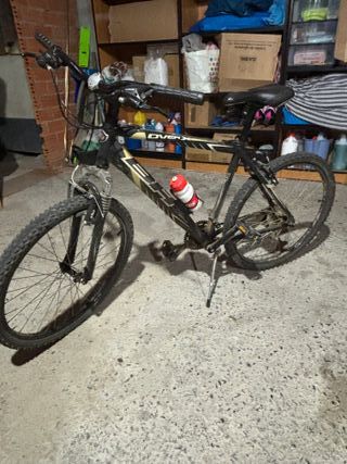 Bicicleta de adulto