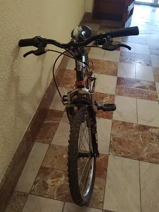 Bicicleta Montaña 20''