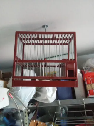 Jaula para pájaros C1