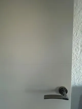 Puerta interior blanca moderna