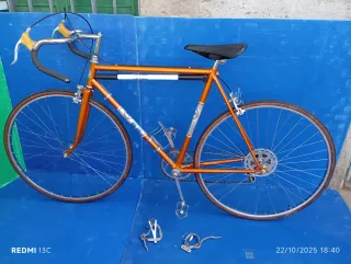 Bicicleta Clásica BH Naranja