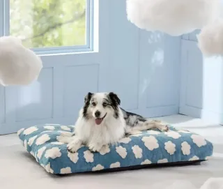 Cama perro protección espinal T 75 x 51 x 10 cm