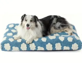 Cama perro protección espinal T 75 x 51 x 10 cm