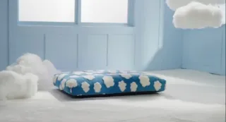 Cama perro protección espinal T 75 x 51 x 10 cm