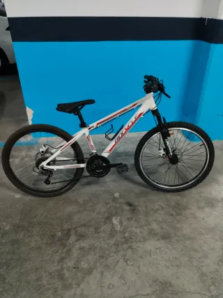 Bicicleta infantil 24