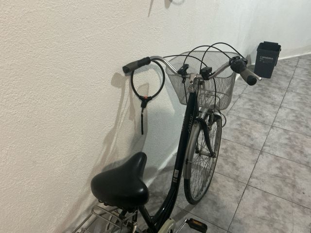 Bicicleta Clásica con Canasta y Luz