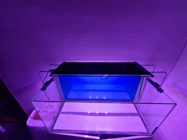 Pantalla LED V2 Ilumenair 900 170W Acuario marino