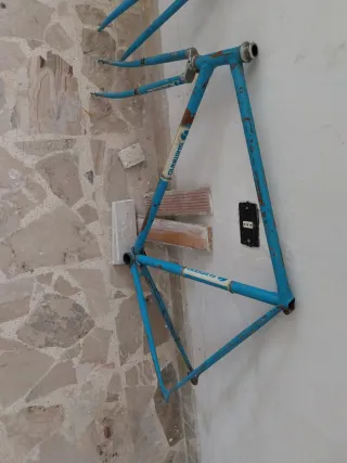 Telaio bici corsa blu