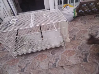 Jaula para pájaros o cobayas