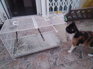 Jaula para pájaros o cobayas