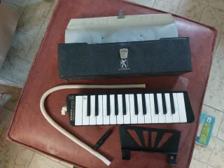 Hohner Melódica Cassotto 26