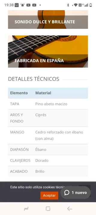 Chitarra flamenca autoamplificata