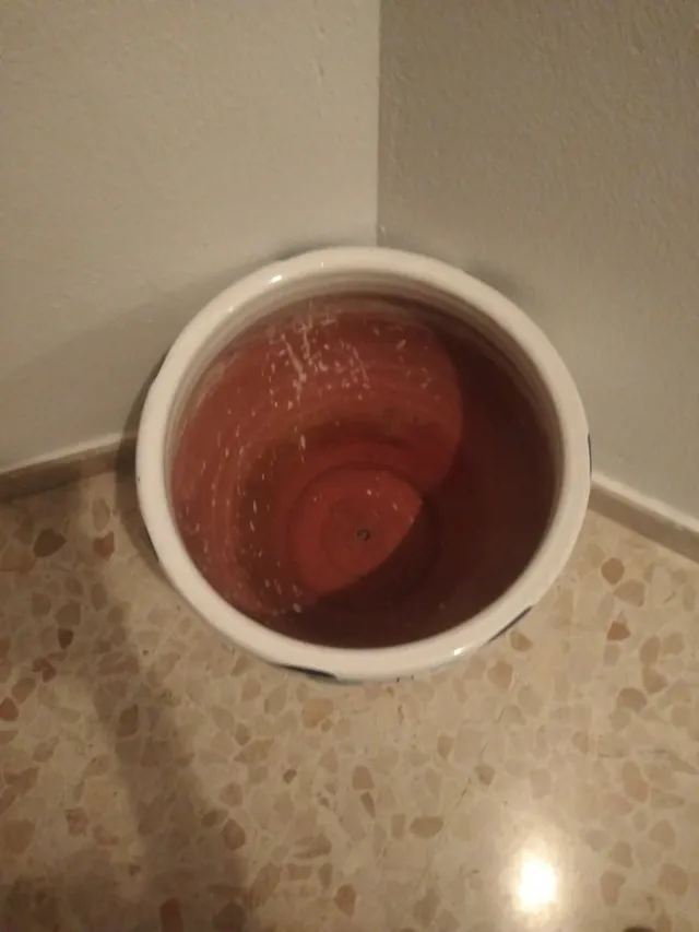 Macetero antiguo decorado
Venta en persona 