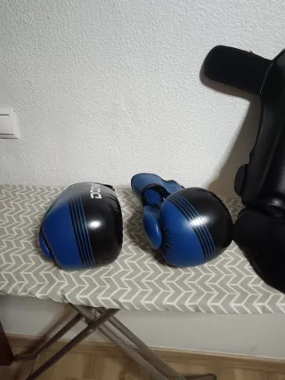 Protector piernas y guantes de boxeo
