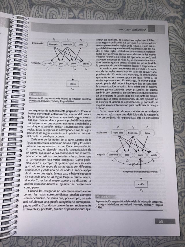Psicología del Pensamiento