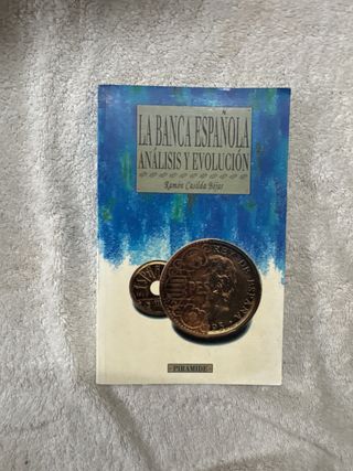La banca española análisis y evolución