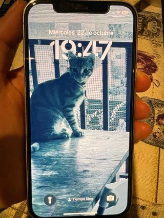 iPhone 12 Pro 256GB Batería 79%