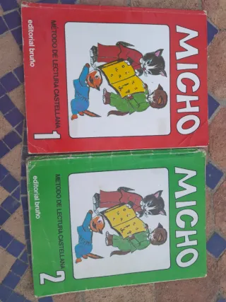 Lotto 2 libri di Micho Editorial Bruño