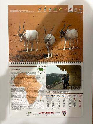 Calendario 2024 Carabinieri CITES