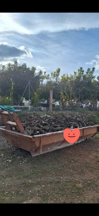 Vendo contenedor de leña de naranjo