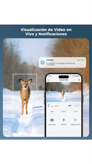 Cámara Solar Exterior Sin Wifi