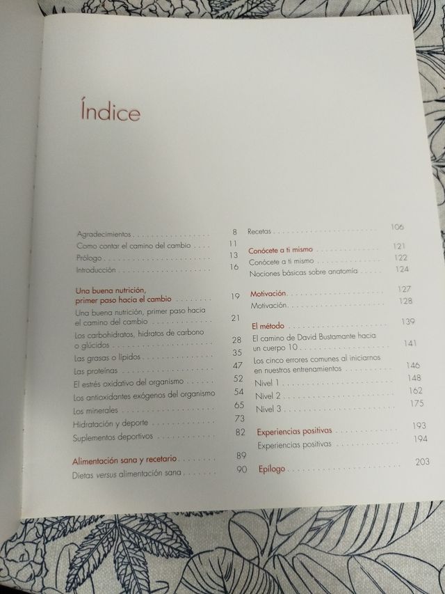 El Camino Del Cambio