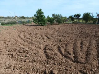 Tractor Pascuali con arado
