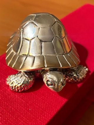 Tartaruga in Argento