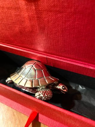 Tartaruga in Argento