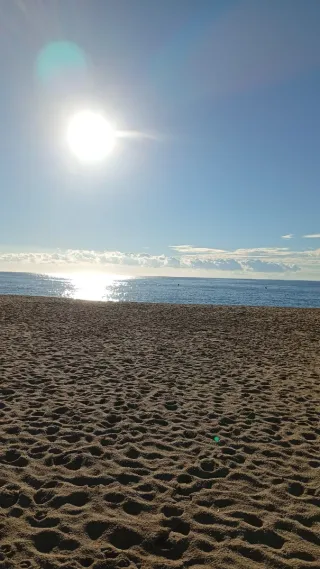 Alquiler de habitación