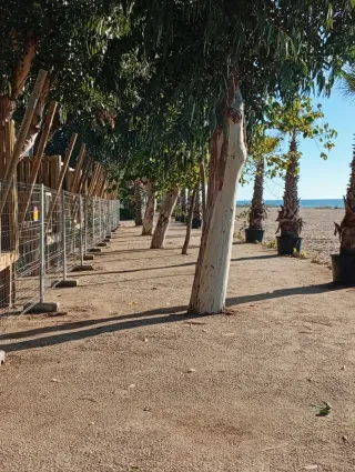 Alquiler de habitación