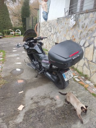 Honda DN-01 Moto Negra