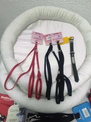 Lote Accesorios y Productos para Mascotas